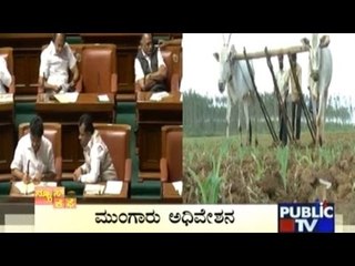 News Cafe | Top Stories | July 4th, 2016 | 8:00 AM