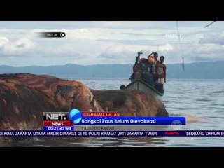 Bangkai Ikan Paus Belum Dievakuasi  - NET24