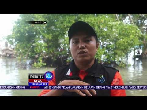 Dugaan Sudah Tiga Minggu Mati, Paus Terdampar - NET10