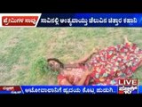 21 Year Old Auto Driver & 14 Year Old Girl In Love Commit Suicide