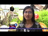 Kemeriahan Festival Payung Tradisional di Yogyakarta - NET12