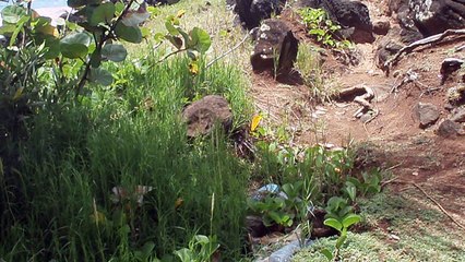 Interview Randonnée Anti Pollution