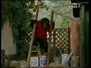 Il nostro amico Charly 6x01 - Micaela indaga