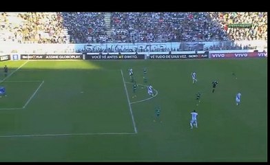 Ponte Preta - Palmeiras 1-1