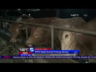 KPPU Sidak Rumah Potong Hewan - NET5