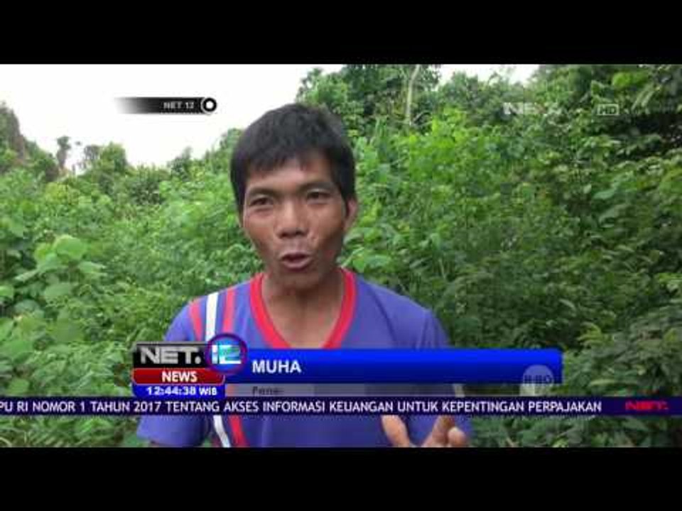 Kematian Misterius Chatarina Wiedjawati - NET12