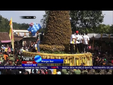 Gunungan Salak Diperebutkan Warga - NET5