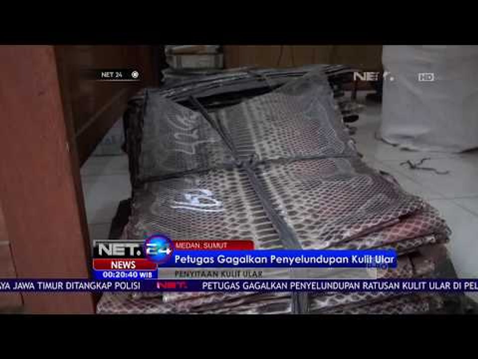 Petugas Gagalkan Penyelundupan Kulit Ular - NET24
