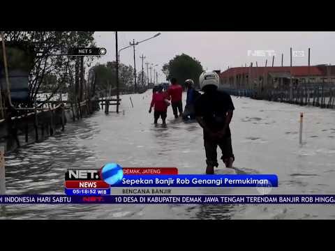Sepekan Banjir Rob Genangi Permukiman - NET5