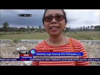 Ratusan Ribu Ekor Belalang Kepung Sumba Timur - NET12