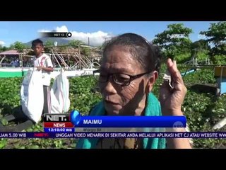 Lomba Mengumpulkan Sampah Terbanyak - NET 12