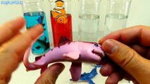 Animales para colorear colores creativa colorante divertido Niños pintar arco iris Mar lavable Color crayola pai