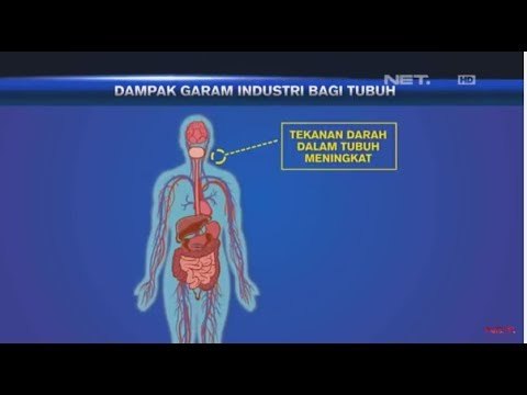 Dampak Garam Industri Bagi Tubuh - NET5
