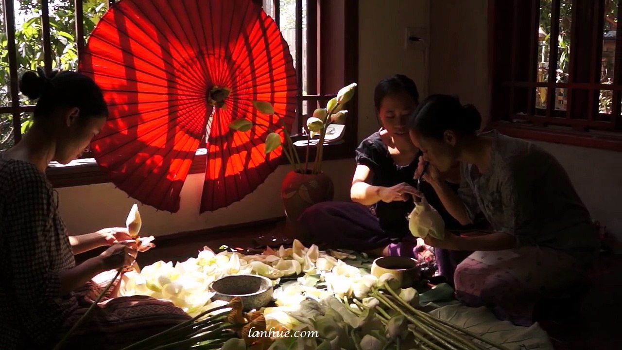 Phương pháp ướp Trà Sen - How to Scent Tea with Lotus Blossoms