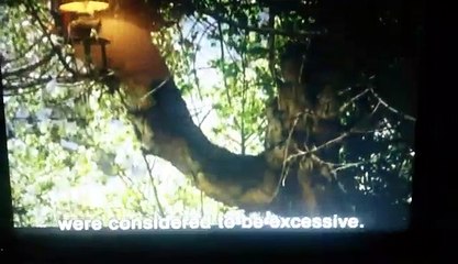 GLI ARTISTI - Federico Fellini (Da 'Sono un gran bugiardo')