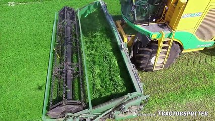 Parsley Harvesting   Ploeger MKC-2TR container mower   Peterselie maaien loonbedrijf Maverko