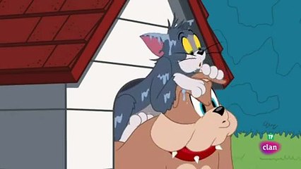 tom y   jerry la inseguridad de hogar EN ESPAÑOL LATINO