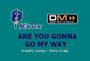 Lenny Kravitz - Are you gonna go my way (Karaoke)