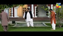 Sammi Last Episode HUM TV Drama - 25 June 2017 -