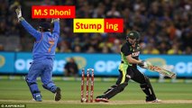 Best Stumping by M.S Dhoni || Must watch || Best Stumping of all Time