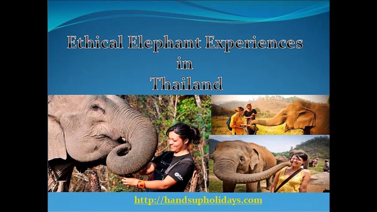 Ethical Elephant Experiences in Thailand