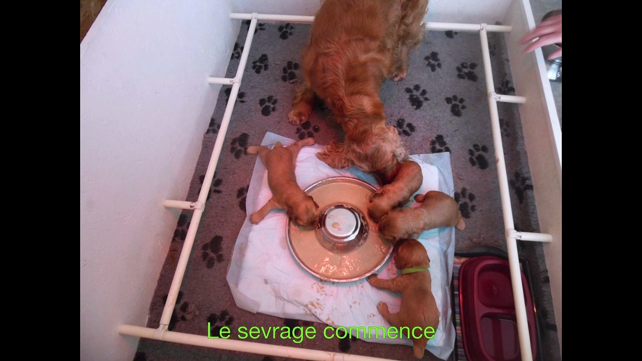 Ils grandissent