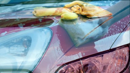 Snowbird Detailing - (386) 690-3289