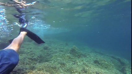Bricolage sous-marin branchies oxygène réservoir