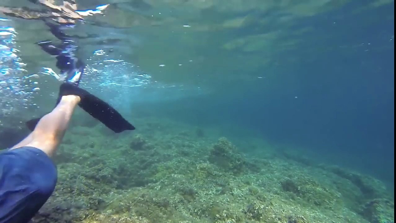 Bricolage sous-marin branchies oxygène réservoir