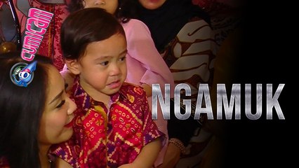 Digoda Raffi Saat Asik Makan, Rafathar Ngamuk - Cumicam 26 Juni 2017