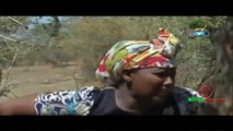 New 2017 Oromo Short Film   Diraama Gabaaba   Qo