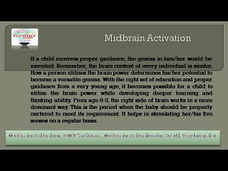 Midbrain Activation Training Process