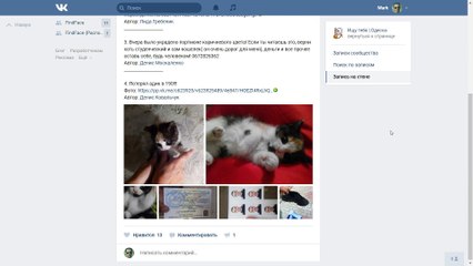 Розыск владельца утерянных документов при помощи FindFace
