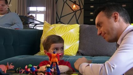 496   Ste Hay' Story (JP Ste)