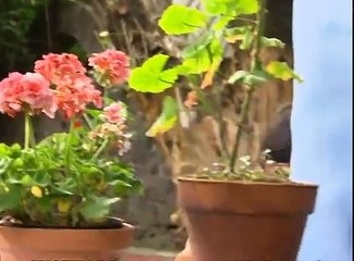 Pobre Diabla - Capítulo 108 (Azteca Novelas)