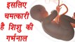 Umbilical Cord: Amazing Facts you need to know