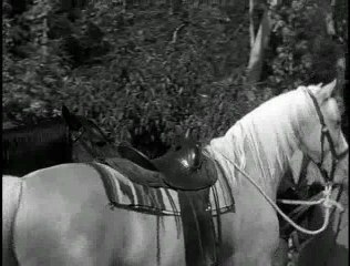 Mister Ed S02E09 - Ed The Hero