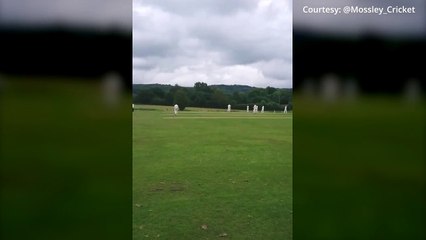 No bull! Mad cow halts play in UK