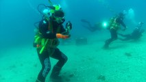 La mer, source d'éternelle jeunesse pour le vin de Bandol