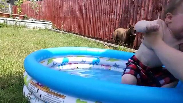 Un bébé terrifié par le bruit de trompette !! HILARANT !