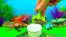 Dinosaure Entrainer et mignonne dinosaures