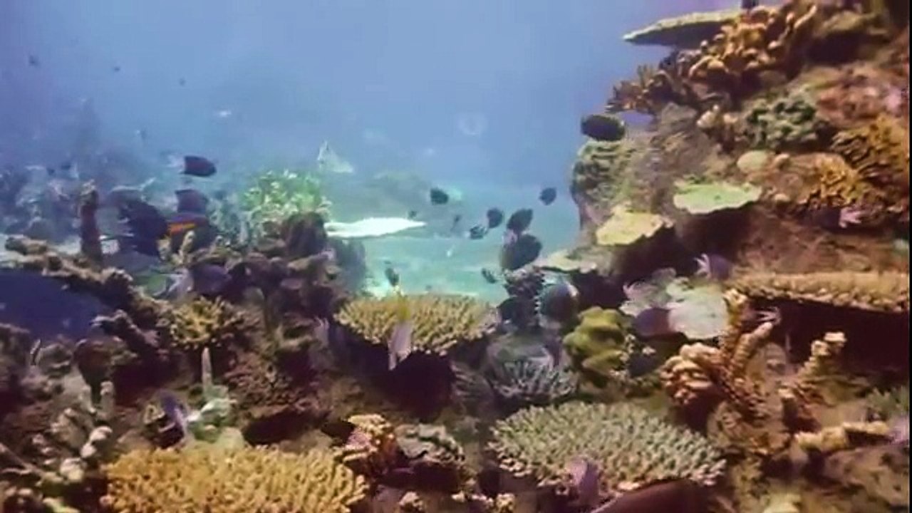 Sirènes partie scènes saison la natation Mako 1 2