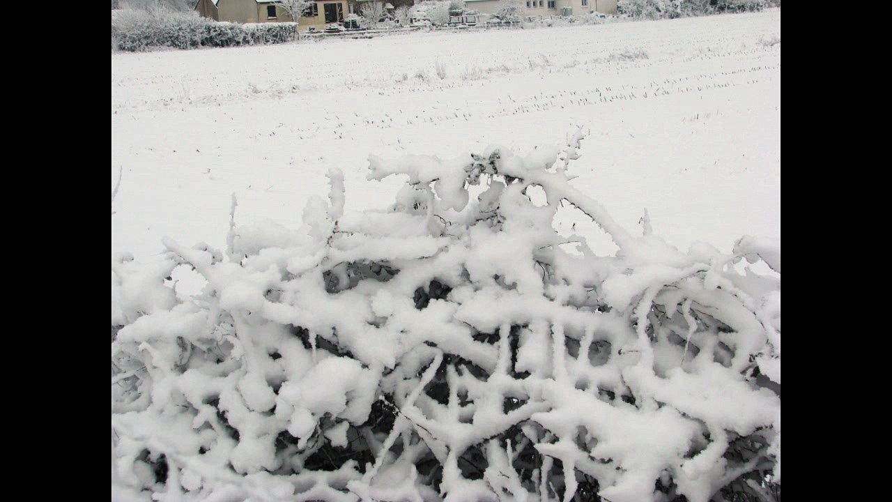 HIVER 2009