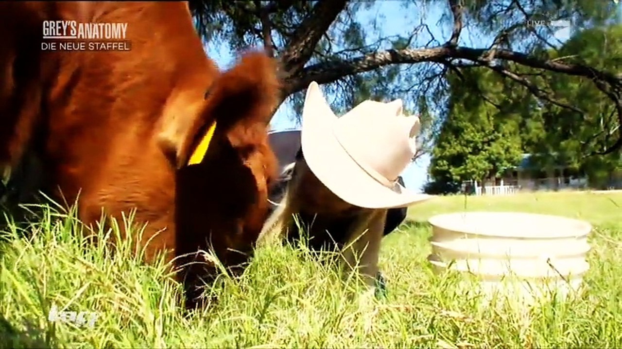 Ivanka Trump Plastic Surgery featured on German Television