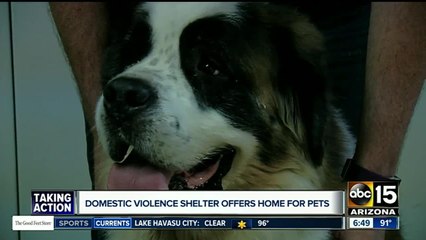 Valley domestic violence shelter offers home for pets