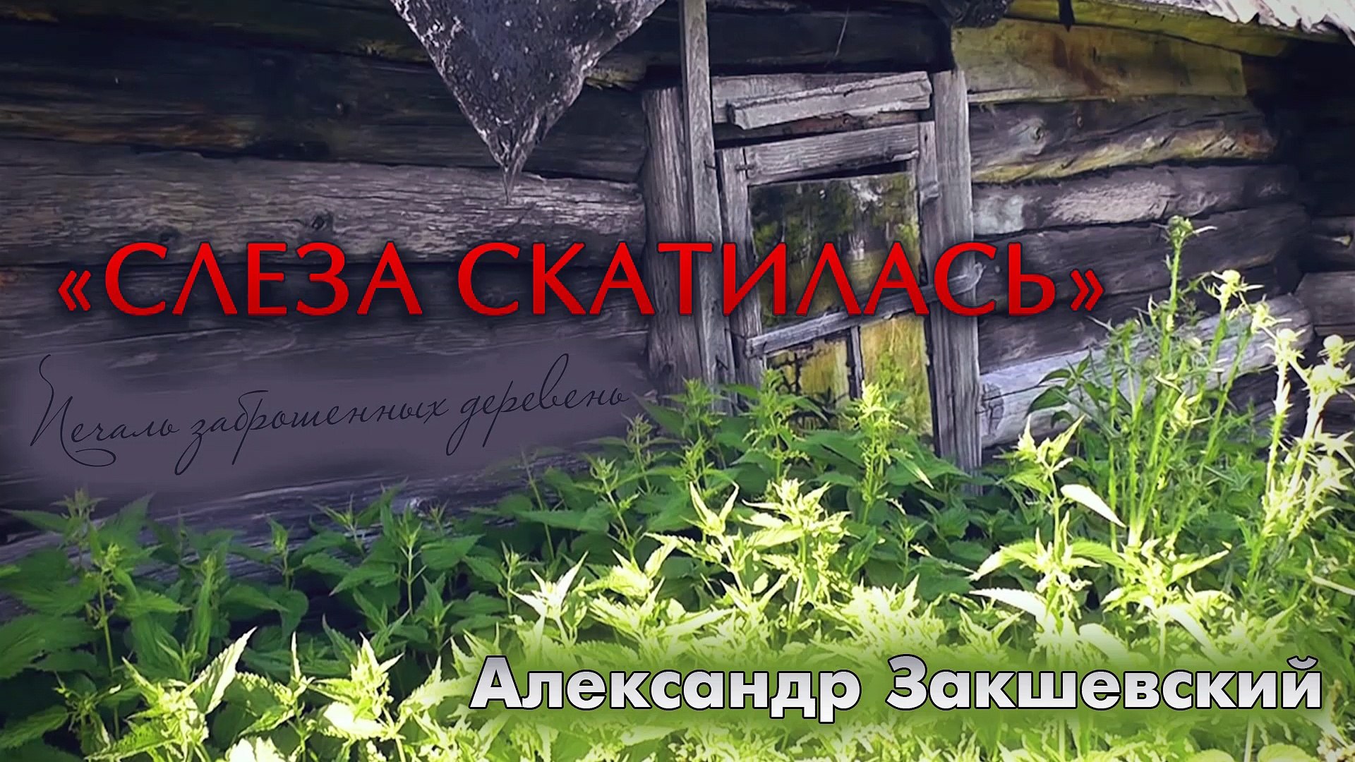 ⁣Александр Закшевский - «Слеза скатилась» (Песня про заброшенную деревню)
