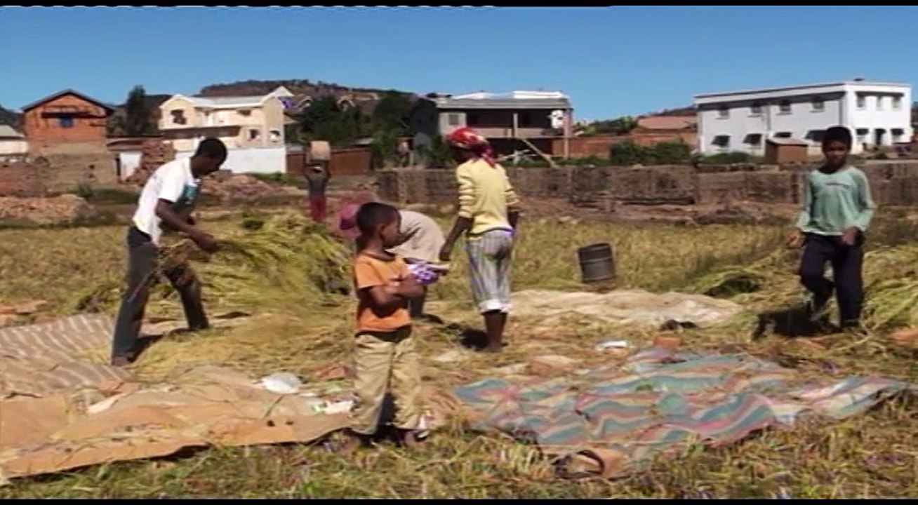 Nos Vacances à Madagascar 2010 Dvd 1 (AMICO Gaspare)