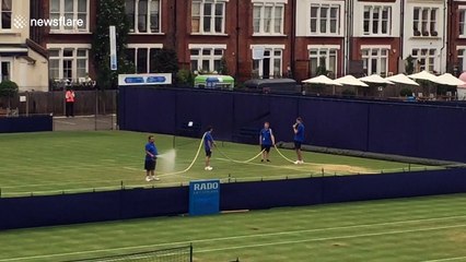 How many men does it take to water a tennis court at the Queen's Club?