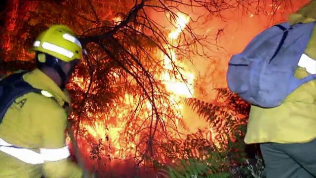 Incendio causa estragos en parque natural de España