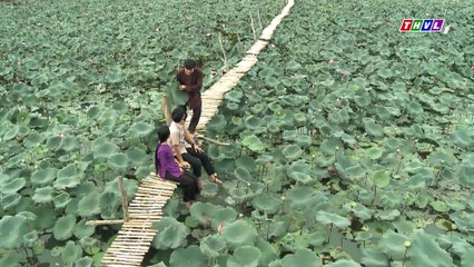 Con gái chị hằng - Tập 31 || Phim Việt Nam